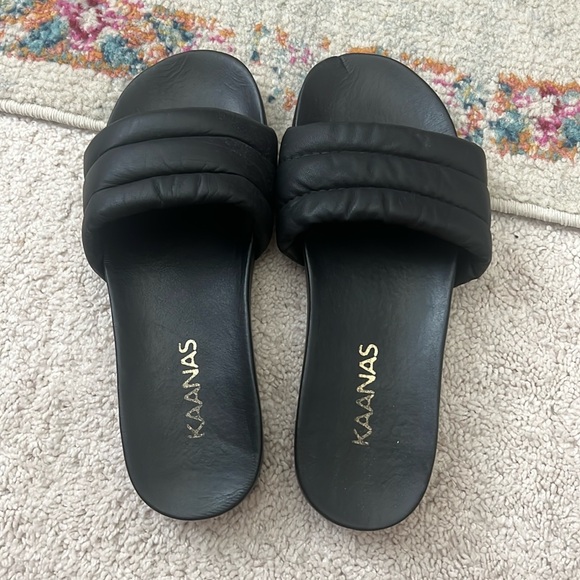 KAANAS slides - Picture 1 of 6